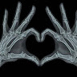 Meet your Posher, Lexi